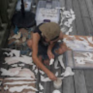 Meet your Posher, Cydnee